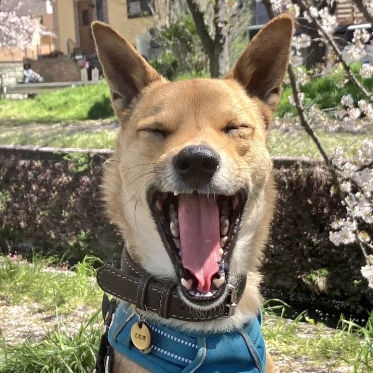 オレ、今、しあわせっ♪