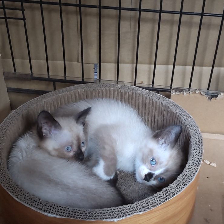 やっとくつろぎポーズ