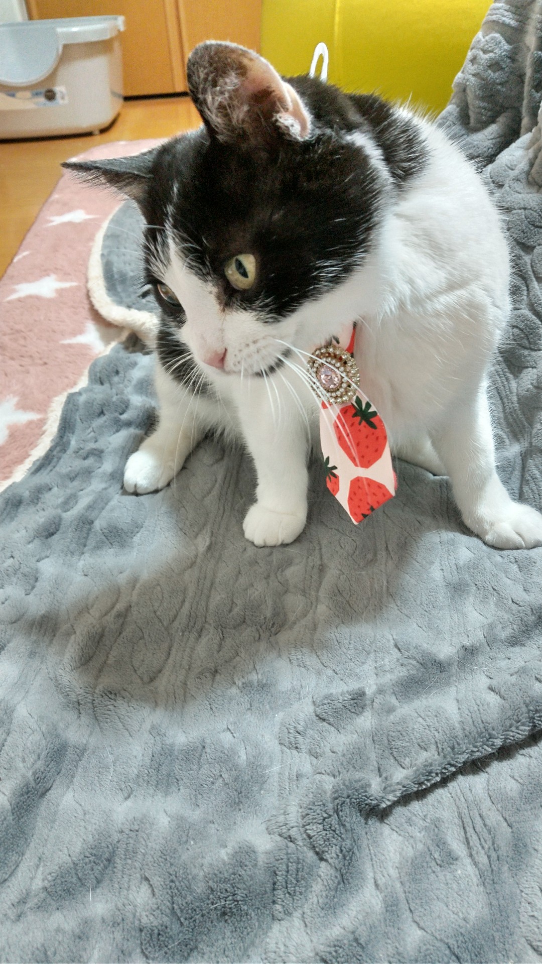 オシャレしたよ