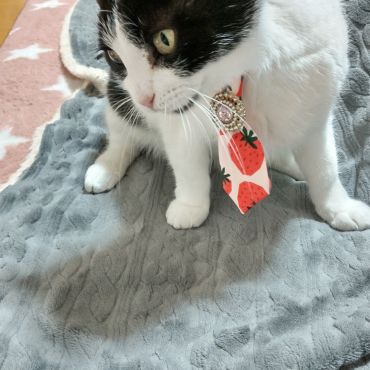 オシャレしたよ