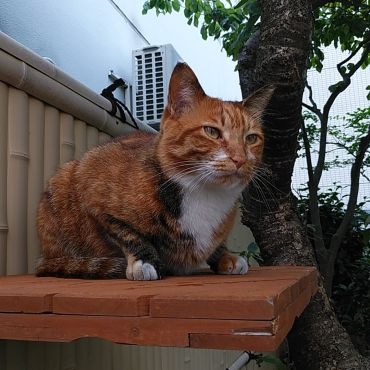 異常なし！