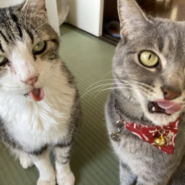 美味しいお顔⁉️