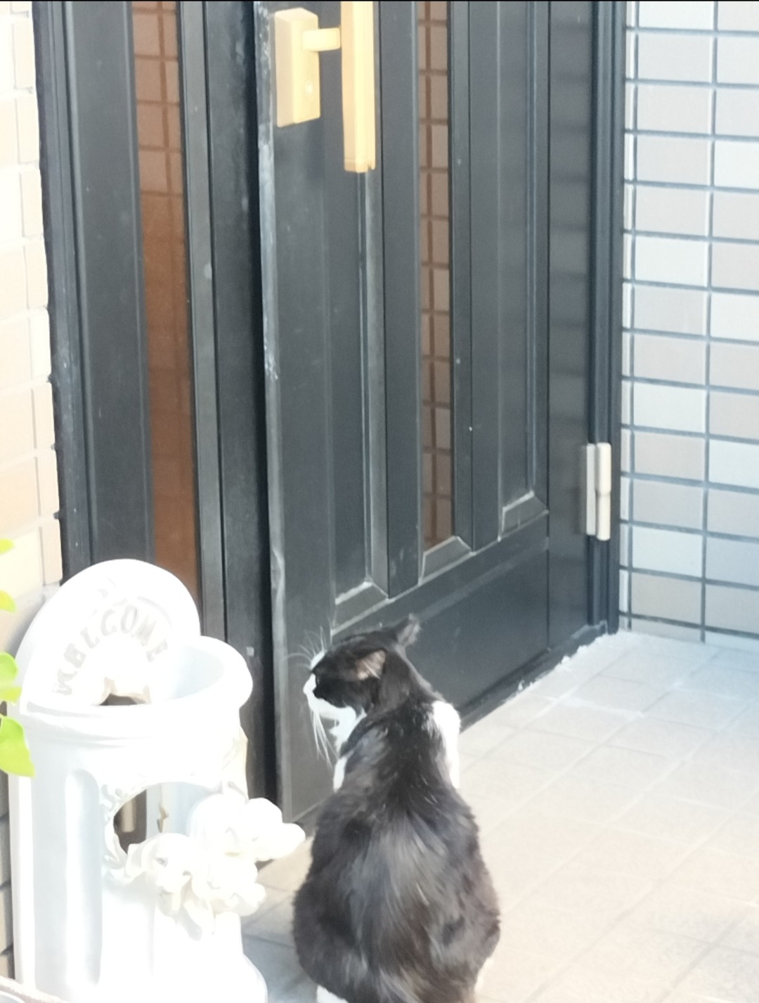 ただいま