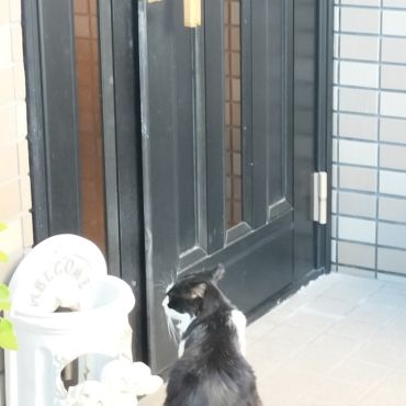 ただいま