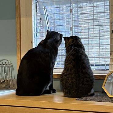 何見てるのー？