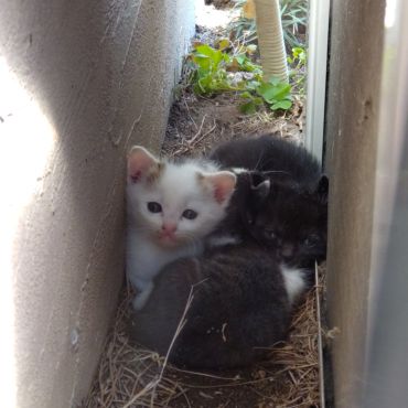 母ちゃんまだかな
