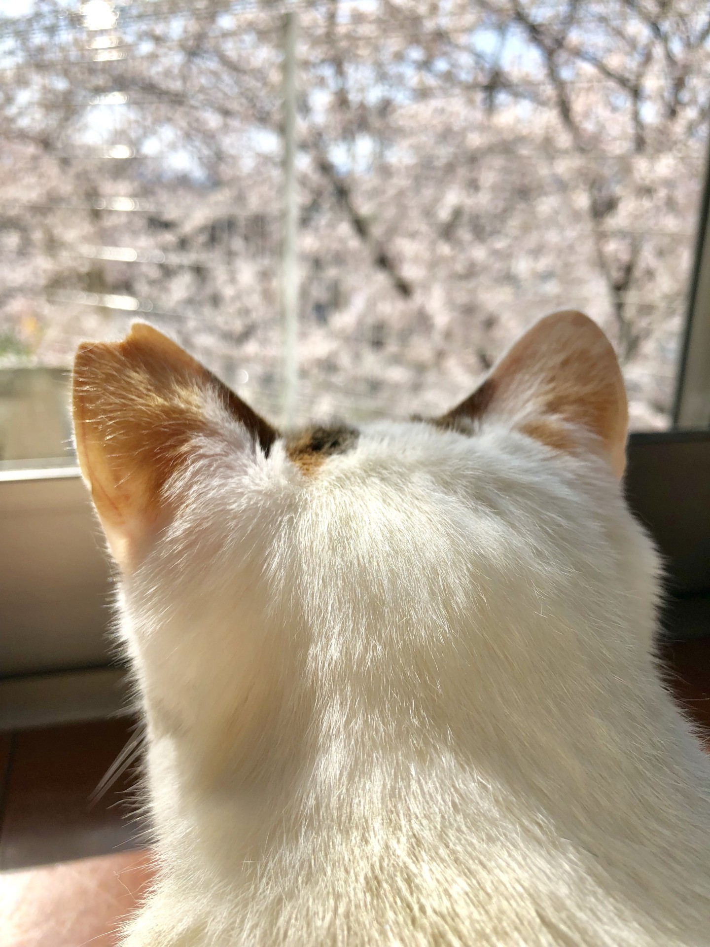 これからもずっと