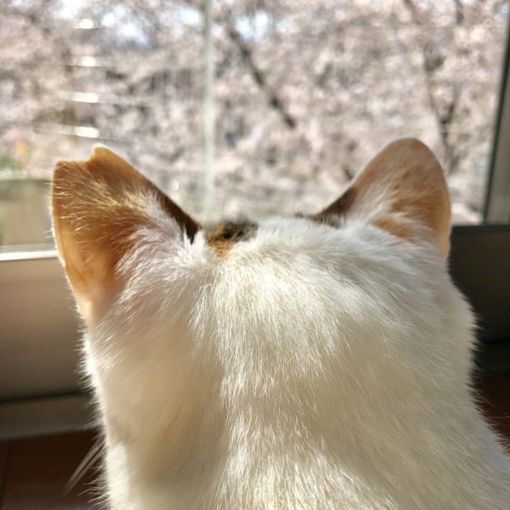 これからもずっと