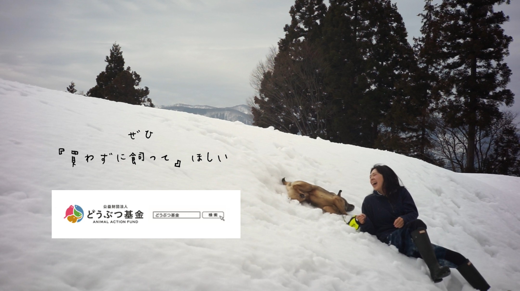 【どうぶつ基金】保護犬と豪雪地に移住した冬