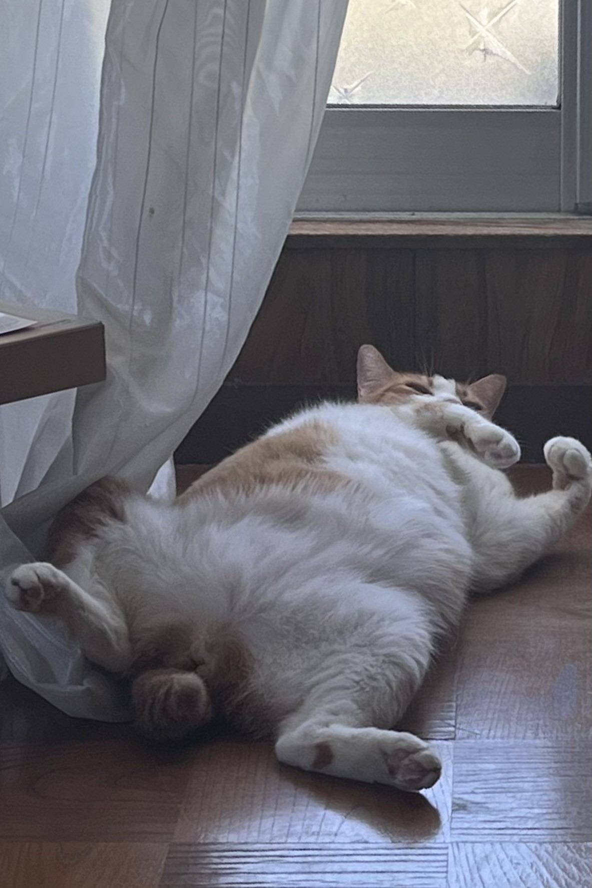 なに？寝そうだったんだけど？