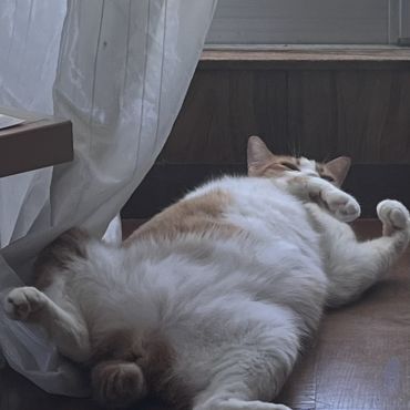 なに？寝そうだったんだけど？