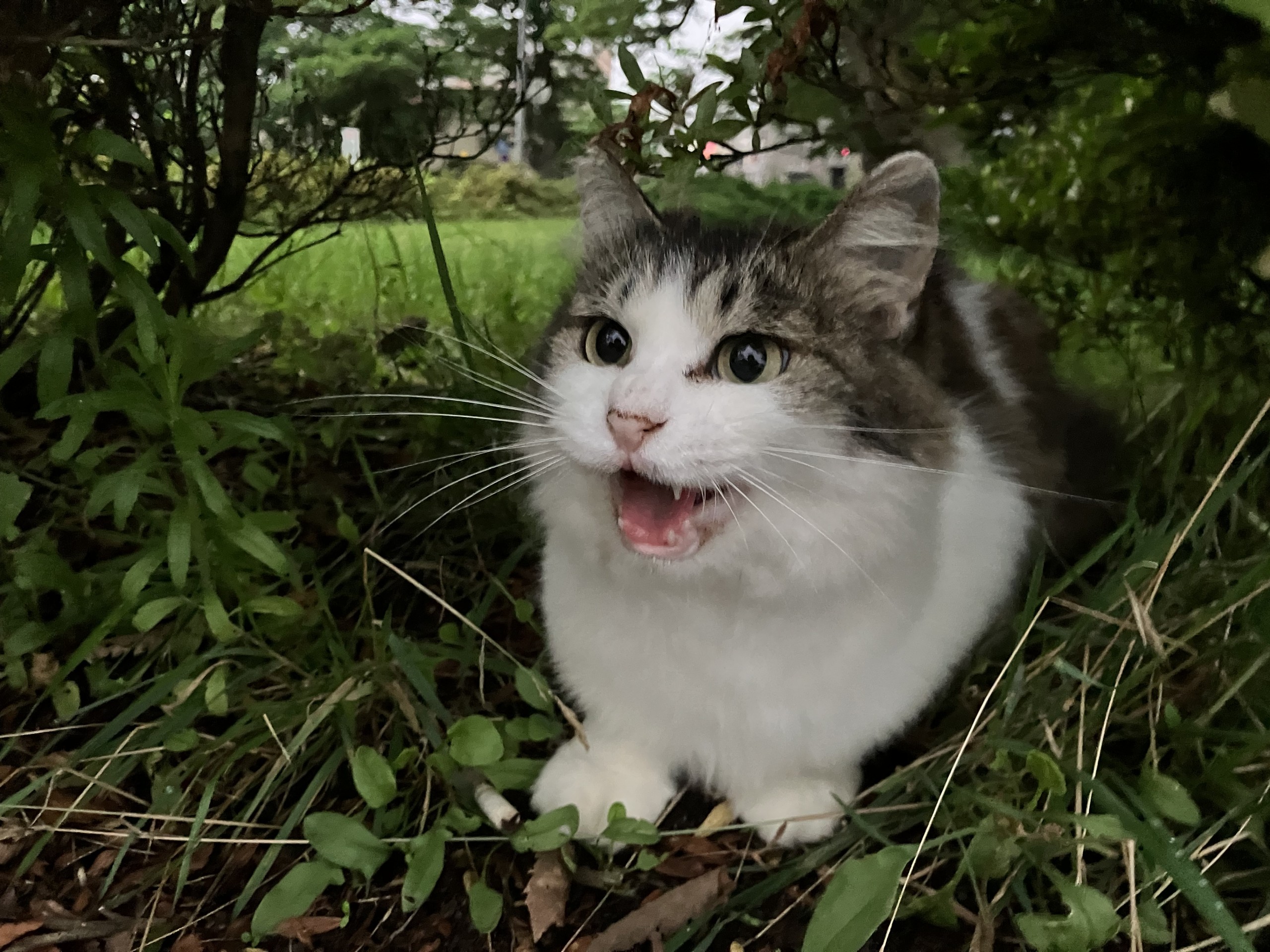 待ってたよー