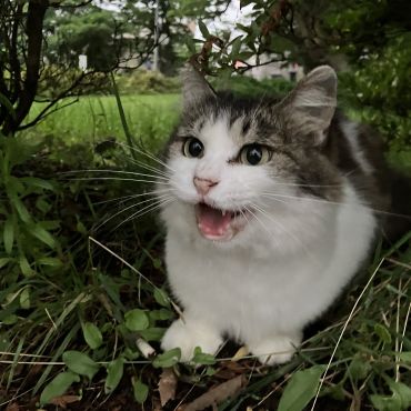 待ってたよー