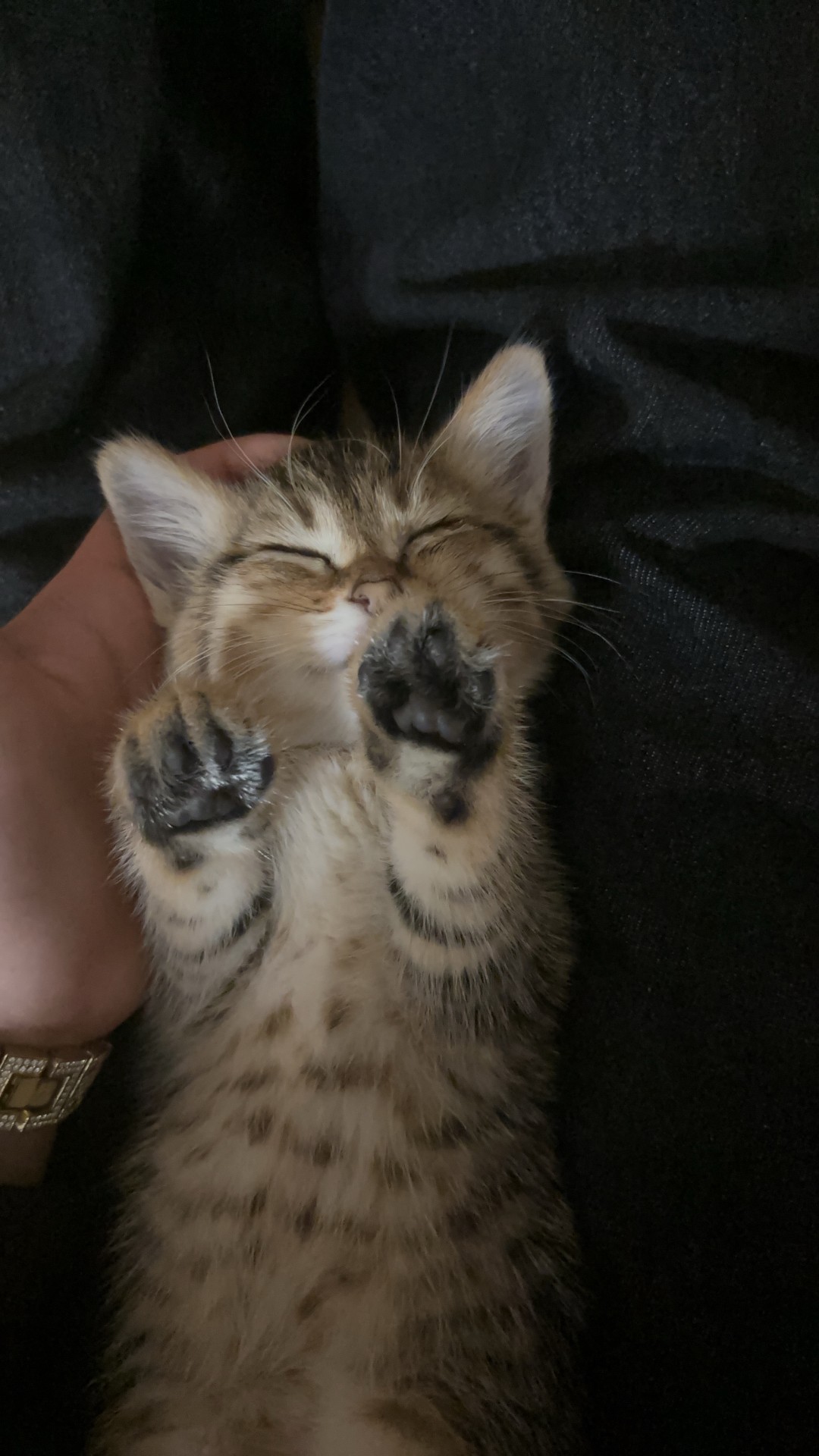 ねむいにゃん