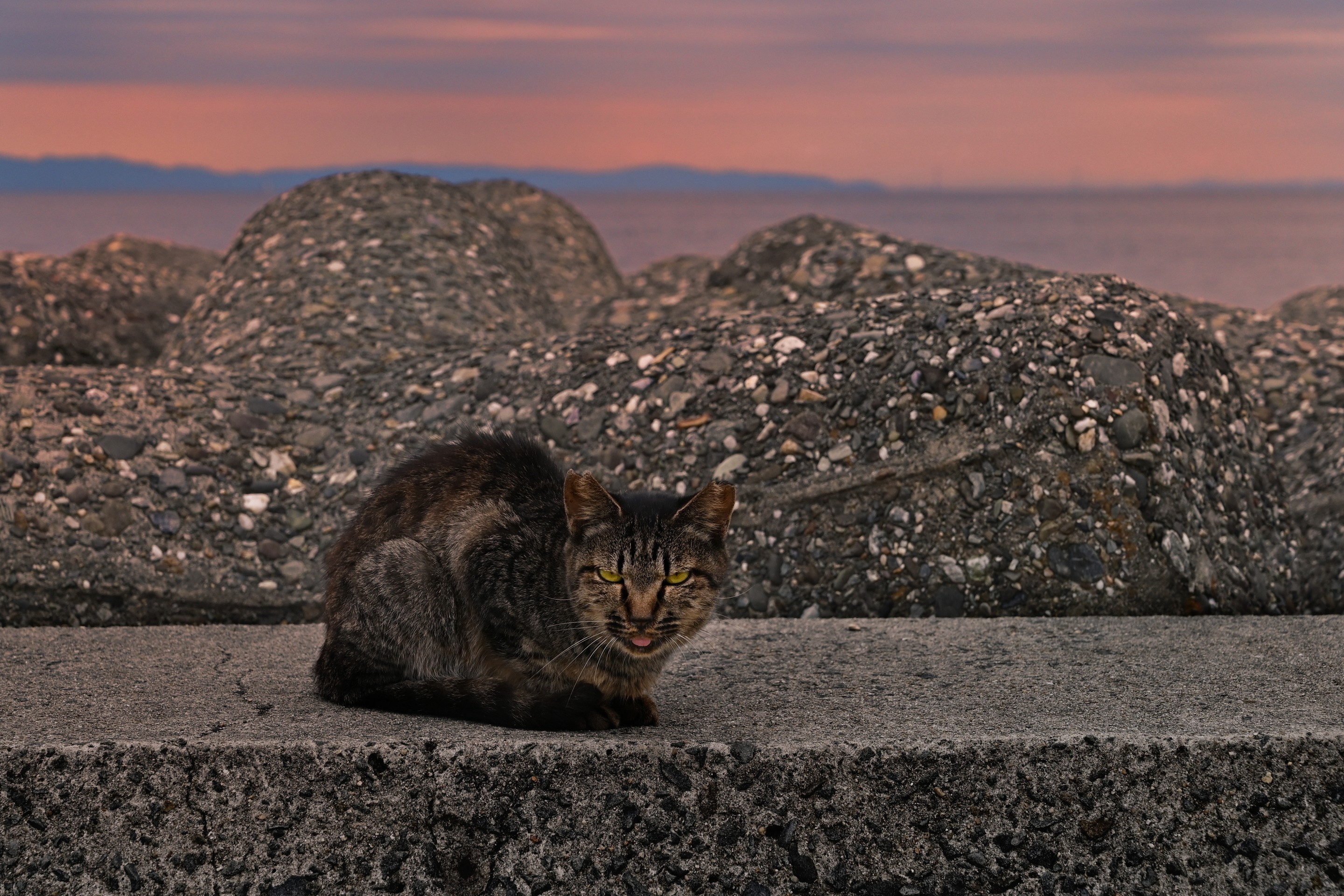 夕暮れのひととき