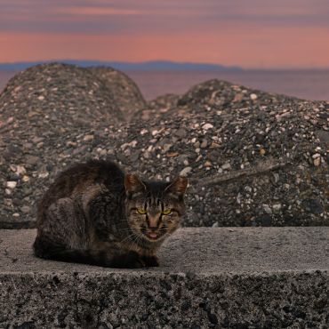 夕暮れのひととき