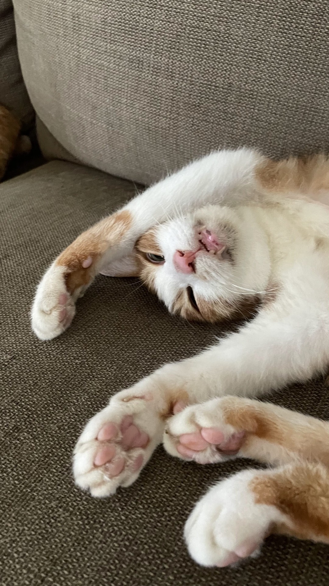 バンザイ
