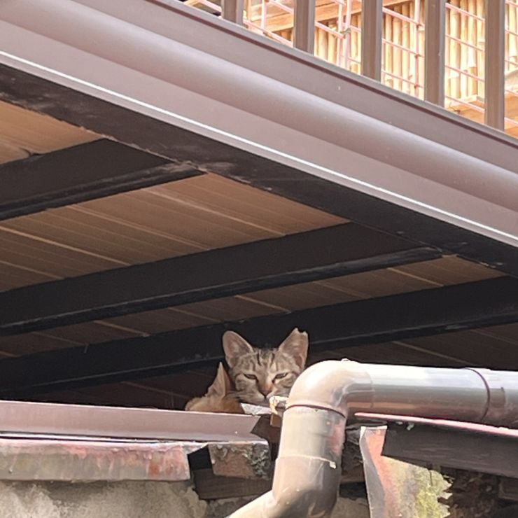 ここだよ！