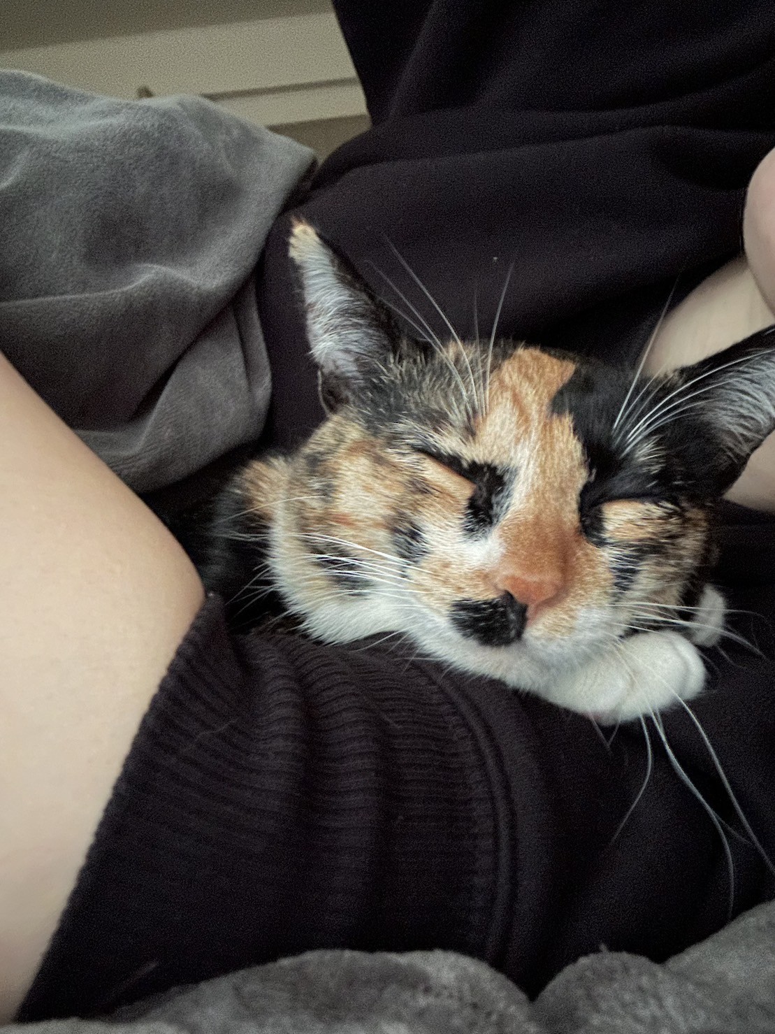 わたしの定位置