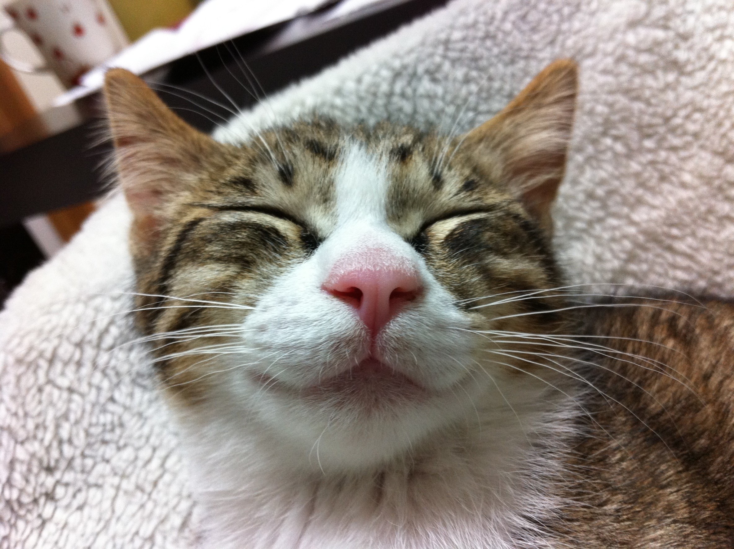 笑ってるよね？