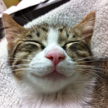 笑ってるよね？