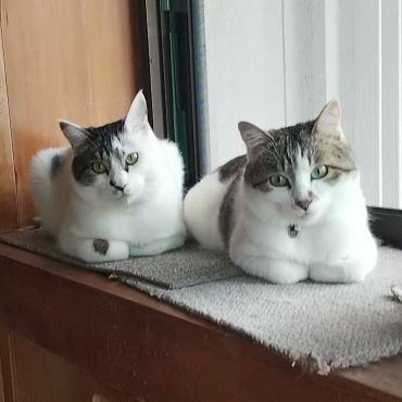 今はずっとの兄弟