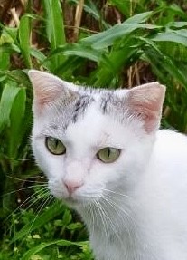 まだ小さな生命。幸せにつないであげられるなら、、。