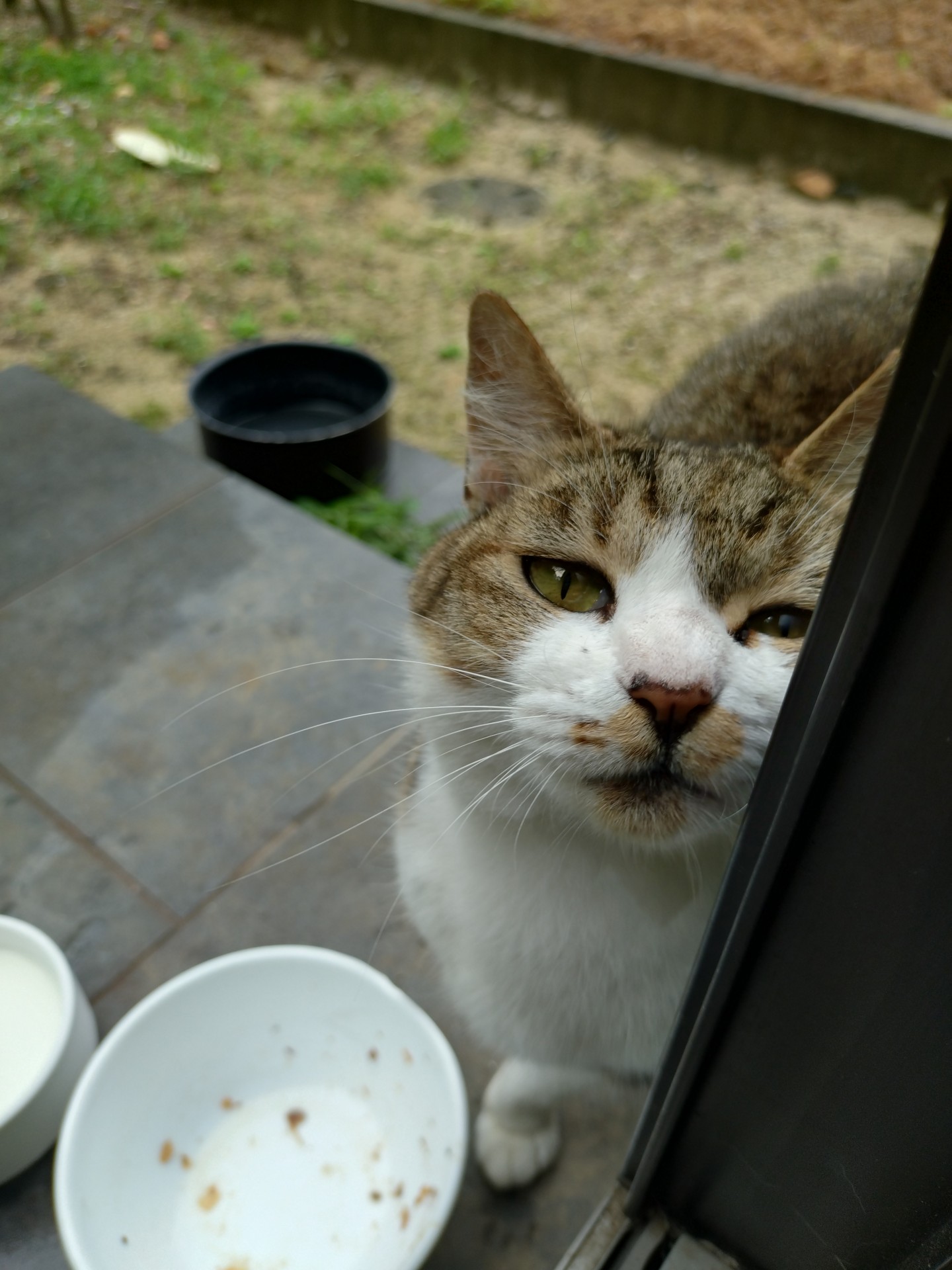 命つないだ