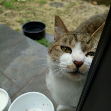 命つないだ