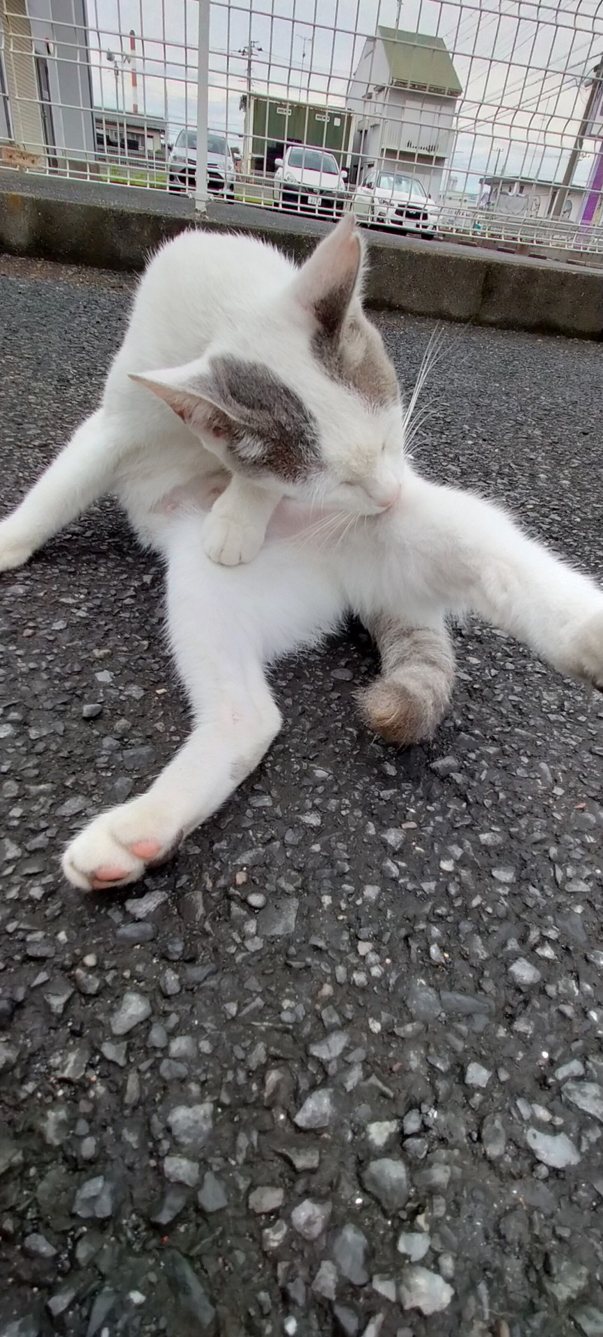 幸せのために