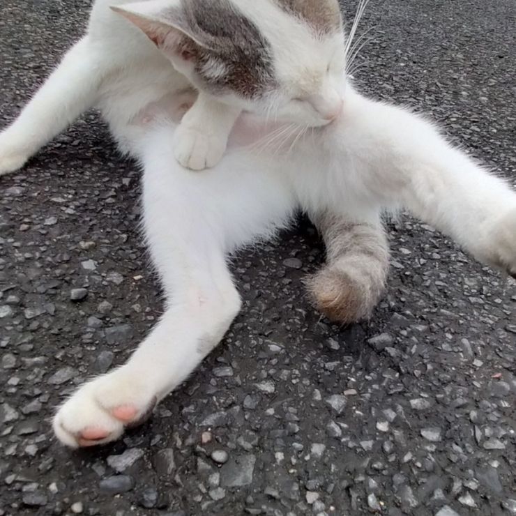幸せのために