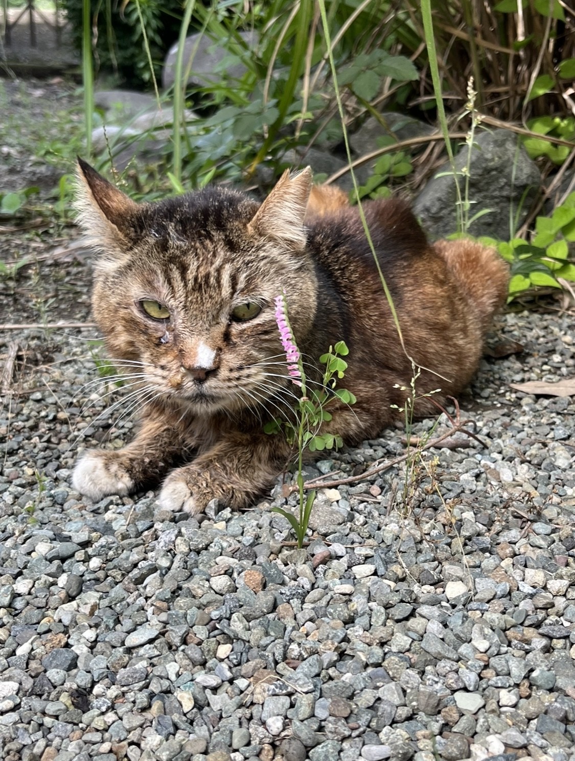 長生きしてね