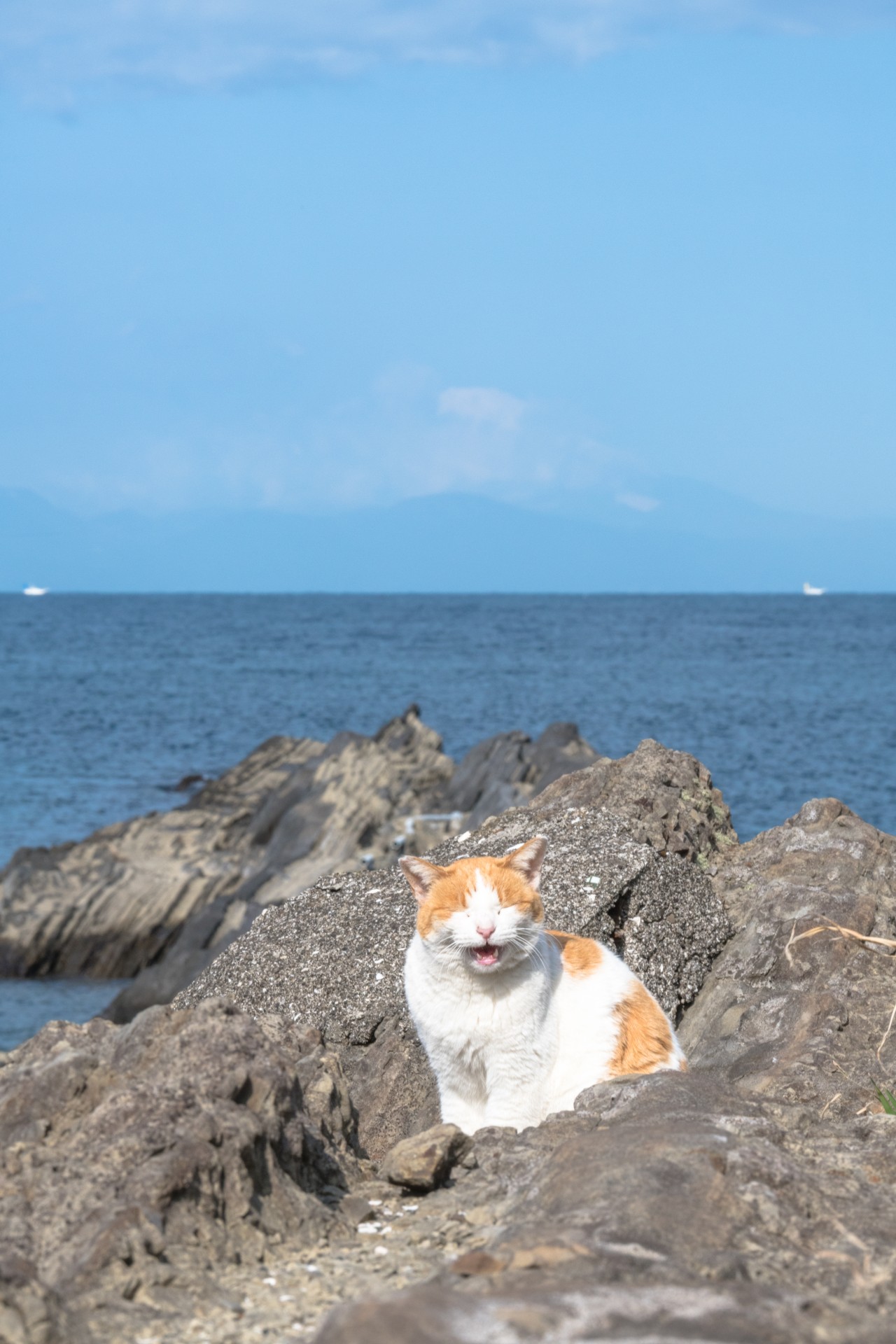 良い景色・良い笑顔