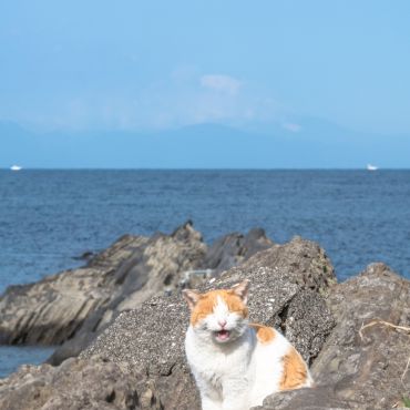 良い景色・良い笑顔