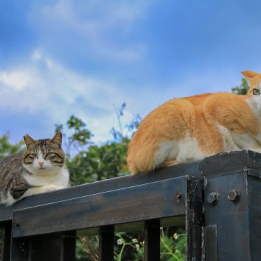 見つめる先には