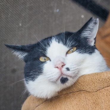 おかしい…、こんなに二重アゴじゃなかった。