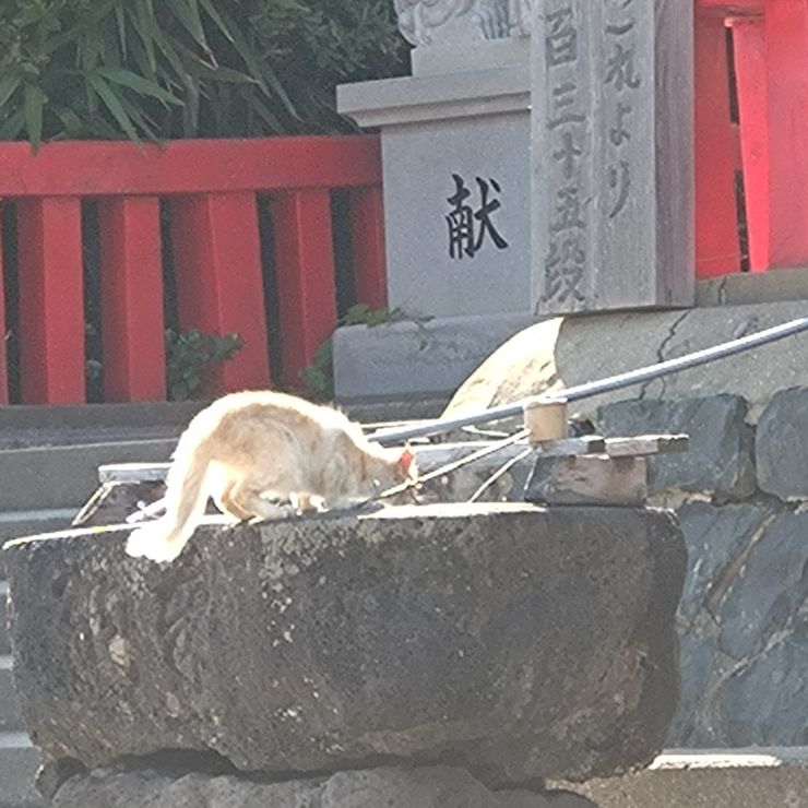 命を繋いだ！