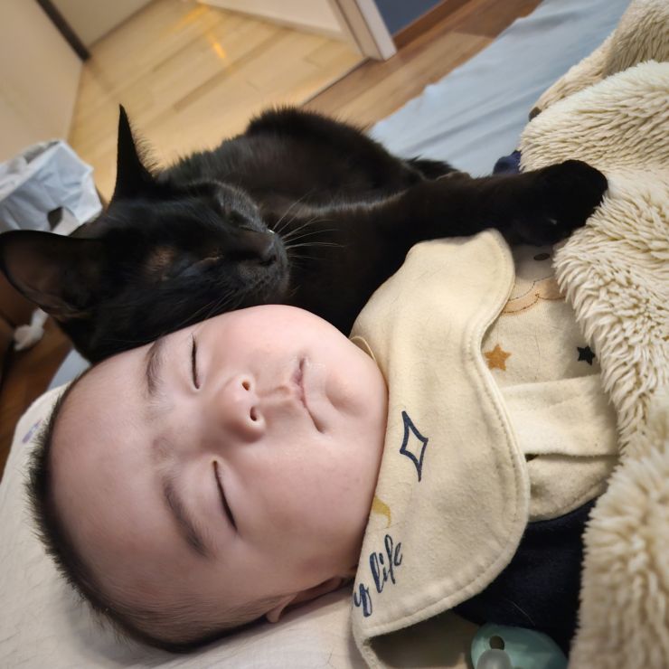 愛情のバトン