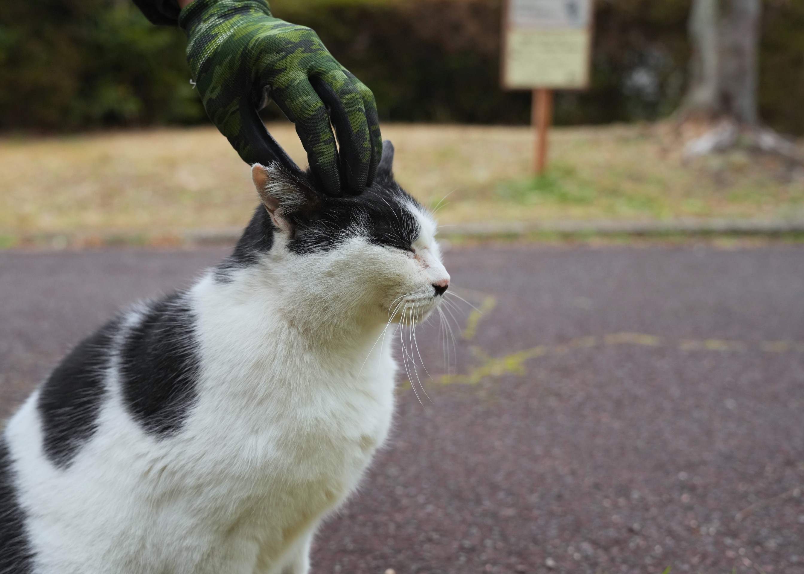 優しい手