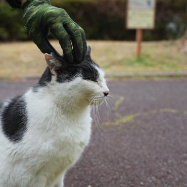 優しい手