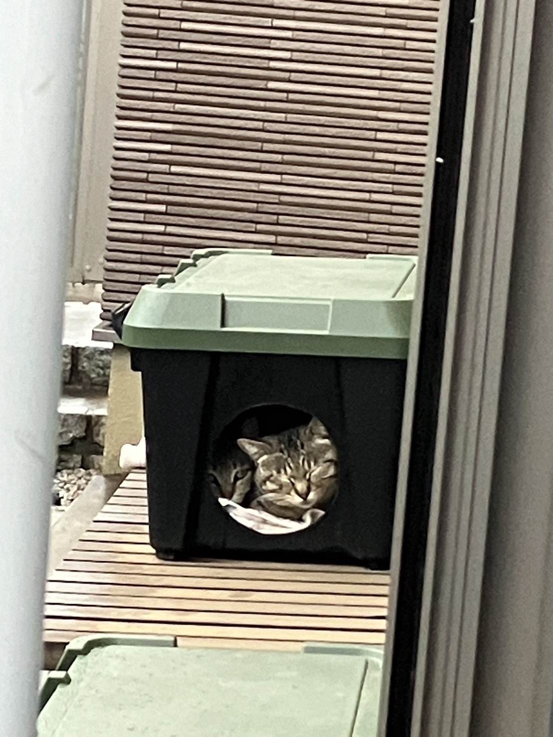 狭くても一緒がいいの💕