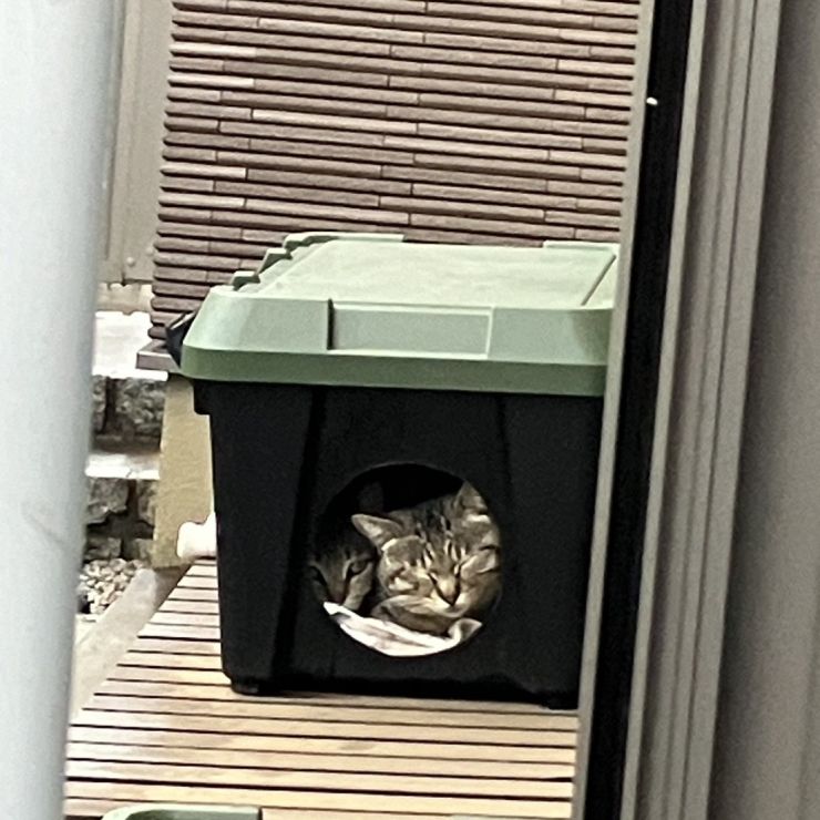 狭くても一緒がいいの💕