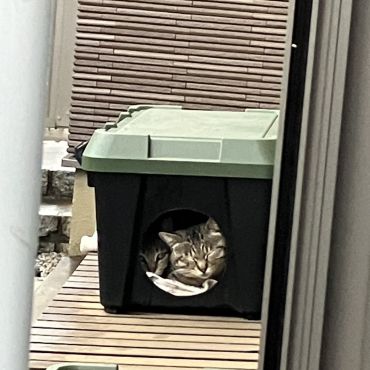 狭くても一緒がいいの💕