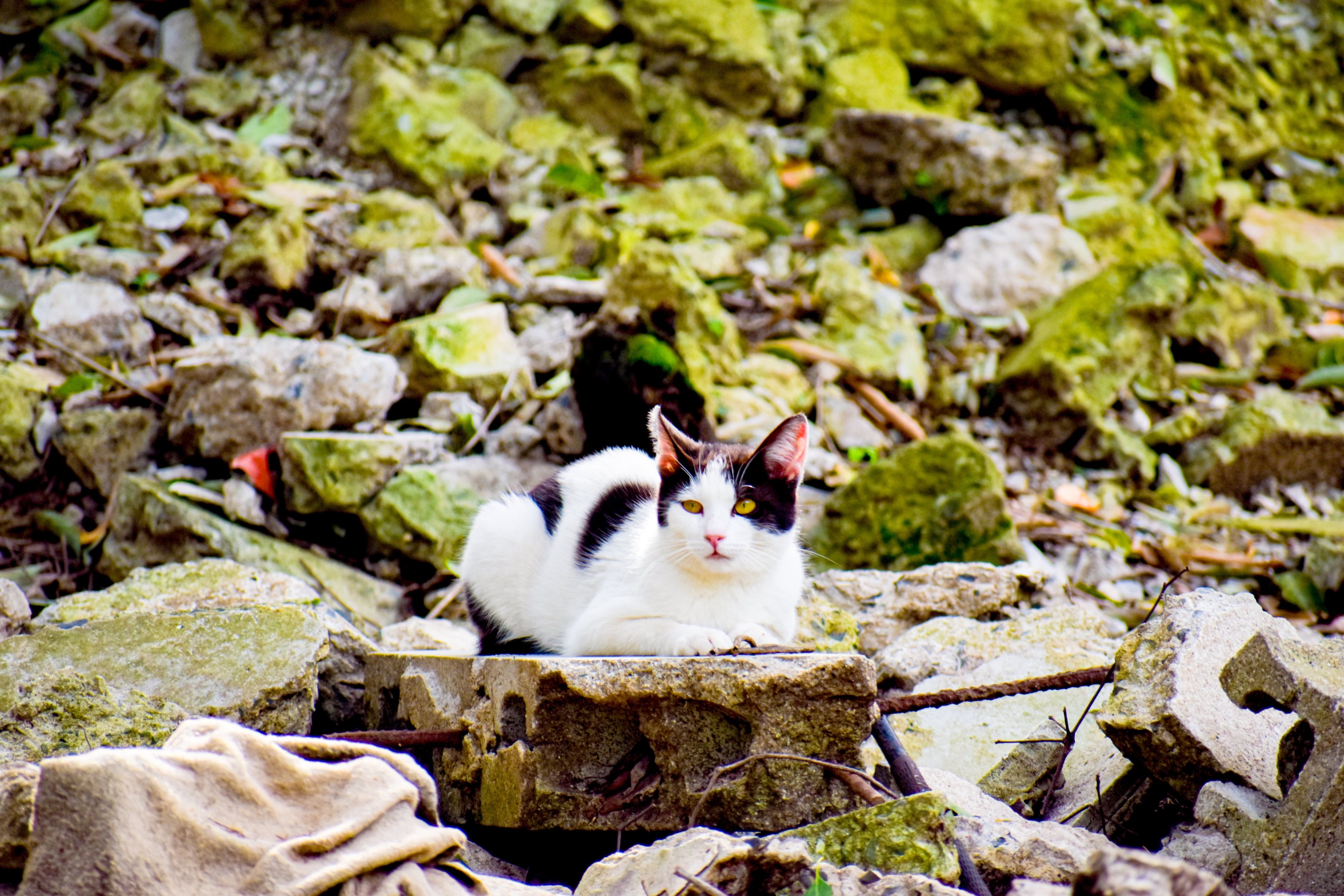 僕の居場所