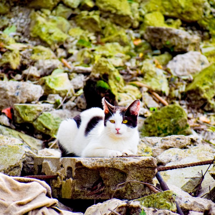 僕の居場所