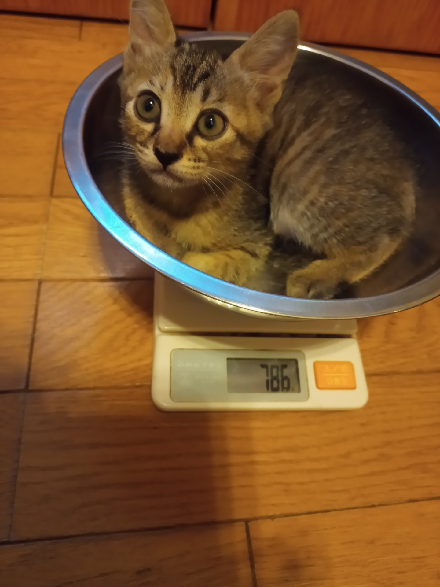 体重測定