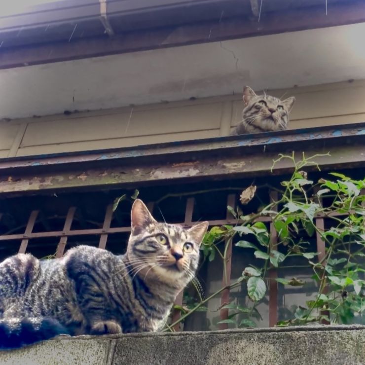 父からの旅立ち