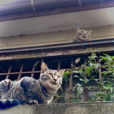 父からの旅立ち