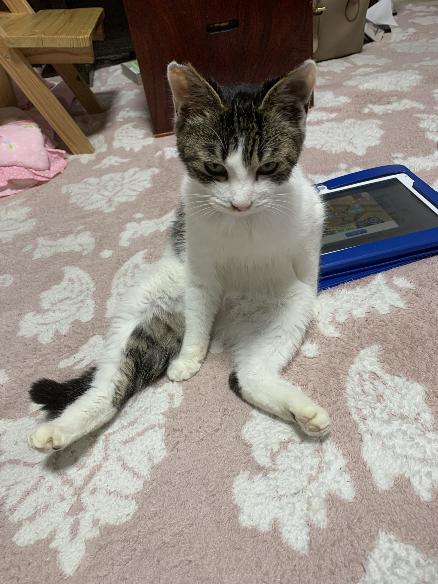 こんな座りもアリだと思うんだ！！！