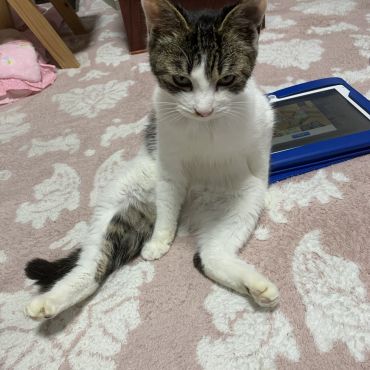 こんな座りもアリだと思うんだ！！！